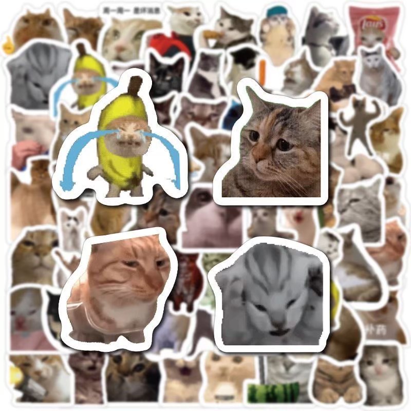 ส่งด่วน🤣 สติกเกอร์ มีมแมว ตลก Cat Meme Sticker สติกเกอร์ แปะเคส สมุด กระเป๋า น่ารัก หลายแบบ