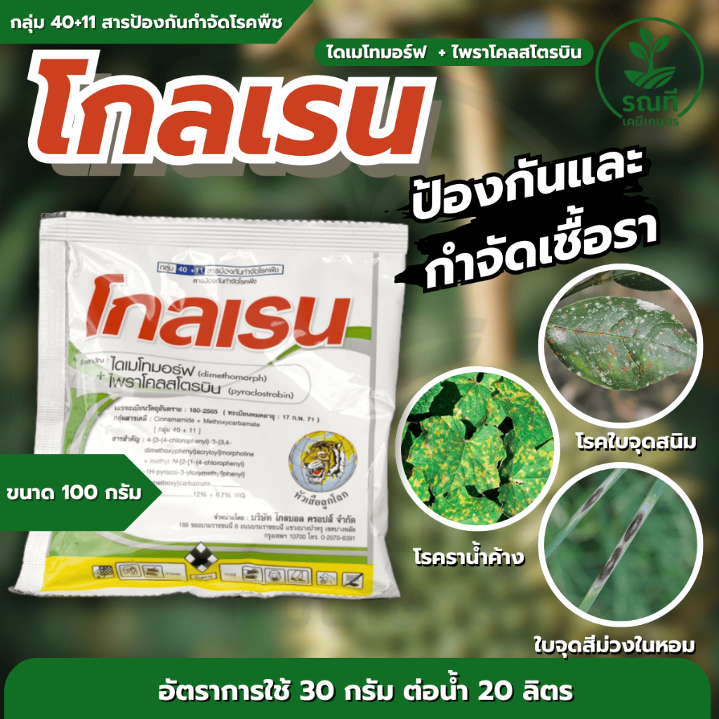 โกลเรน 100 กรัม (ไดเมโทมอร์ฟ + ไพราโคลสโตรบิน) สองพลังกำจัดเชื้อรา รากเน่า โคนเน่า ใบจุด ราแป้ง