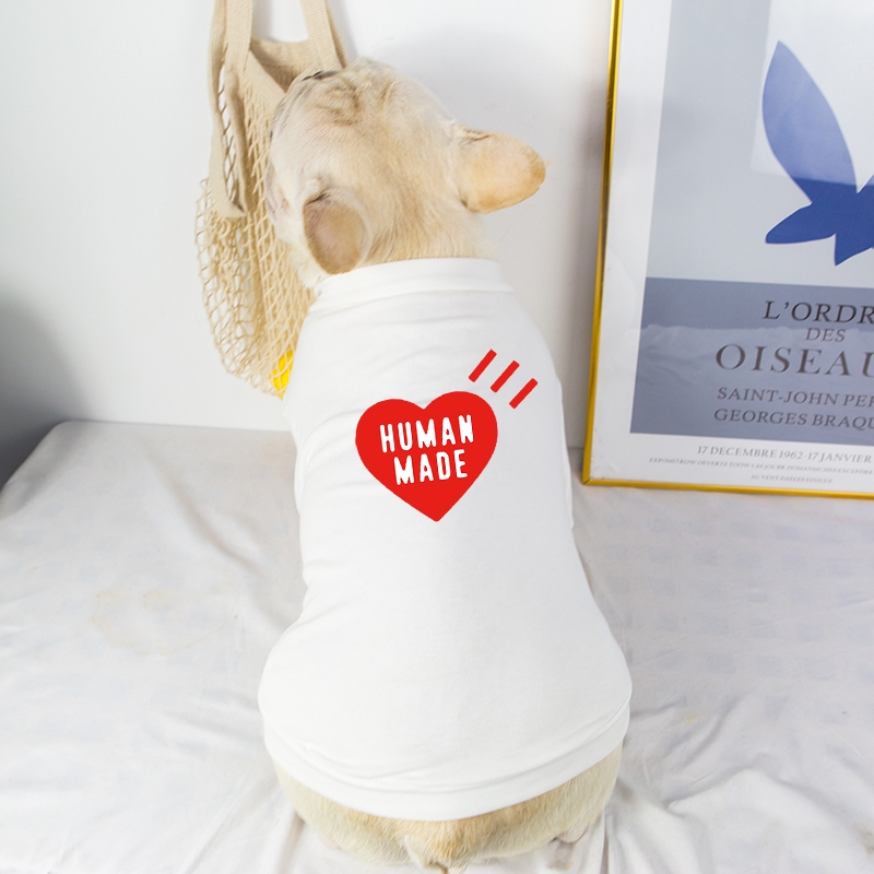 รูปภาพ 5