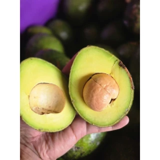 AVOCADO บัคคาเนียลายตำหนิคละไซส์ ***กก.ละ 15 บาท***