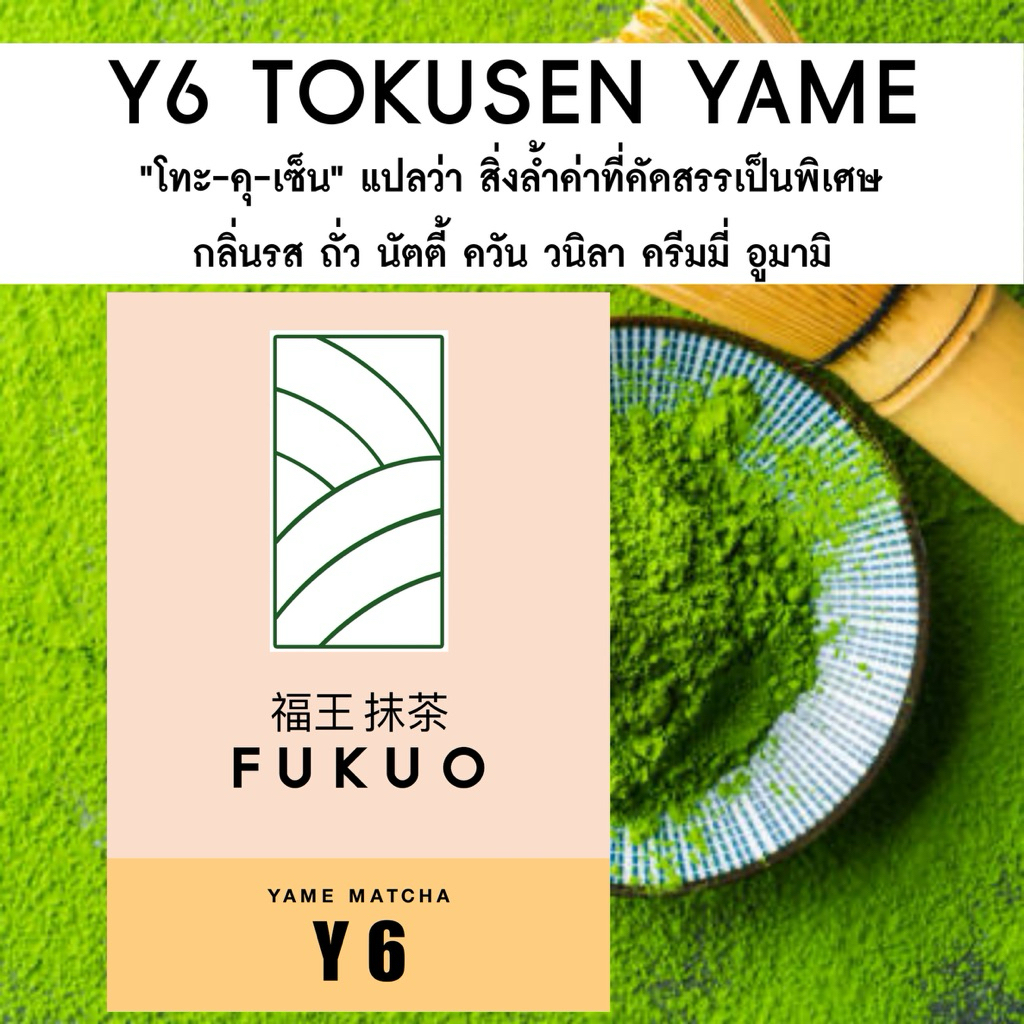 มัทฉะ (Fukuo) Y6 TOKUSEN YAME Matcha Ceremonial grade มัทฉะ โทนถั่ว จากญี่ปุ่น 🇯🇵 ของแท้ เกรดพิธีการ