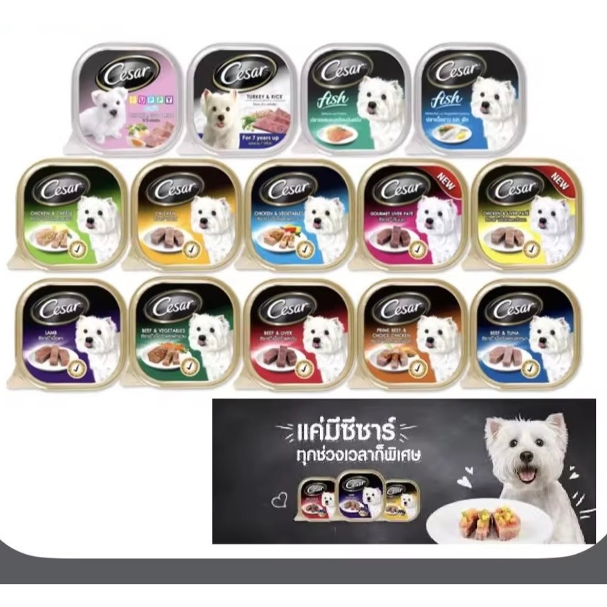 Cesar ซีซาร์ อาหารเปียก อาหารสุนัข ขนาด 100 กรัม (ยกโหล) คละรส