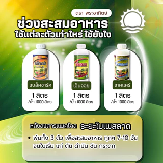 🌿 ชุดสะสมอาหารทำดอก สูตรเกษตรเปิดใจ อาหารแน่น เคลื่อนย้ายไปท้องกิ่งดี อาหารแน่น คุณภาพสูง ต้นไม่มีโทรม