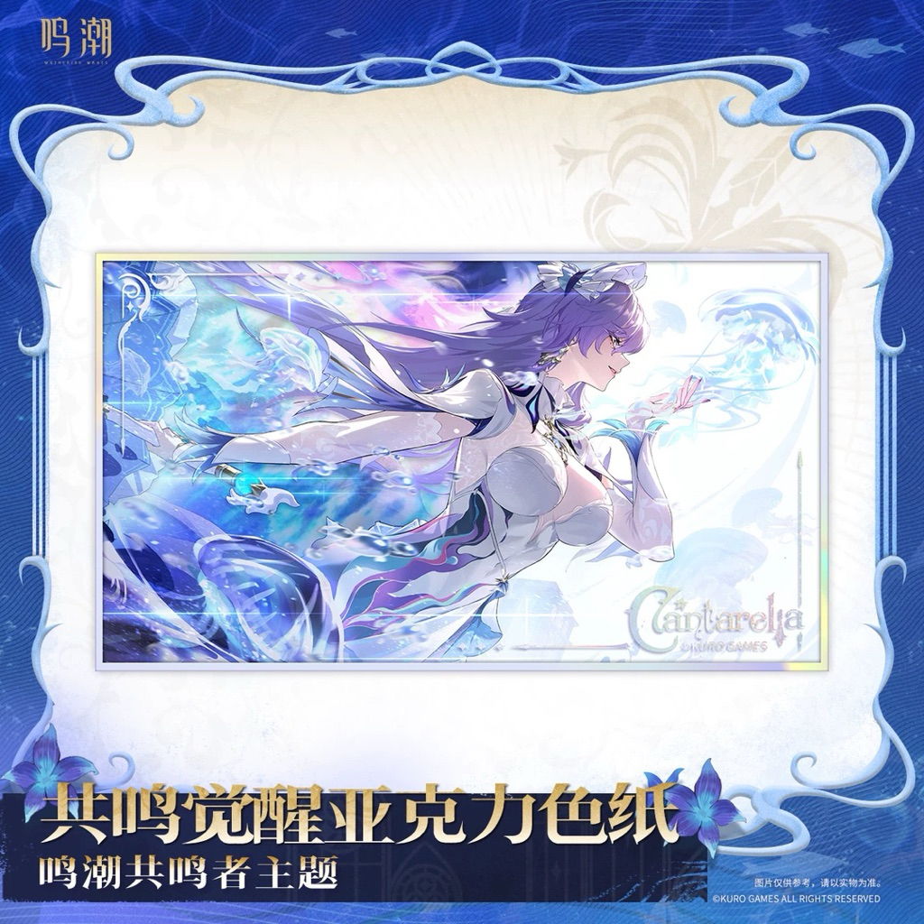 [พร้อมส่ง] official  แท้ Cantarella  Wuwa wuthering waves kuro