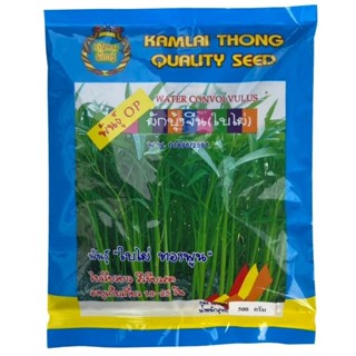 เมล็ดพันธุ์ผักบุ้งจีนพันธุ์ใบไผ่ทองพูน ขนาด 500 กรัม