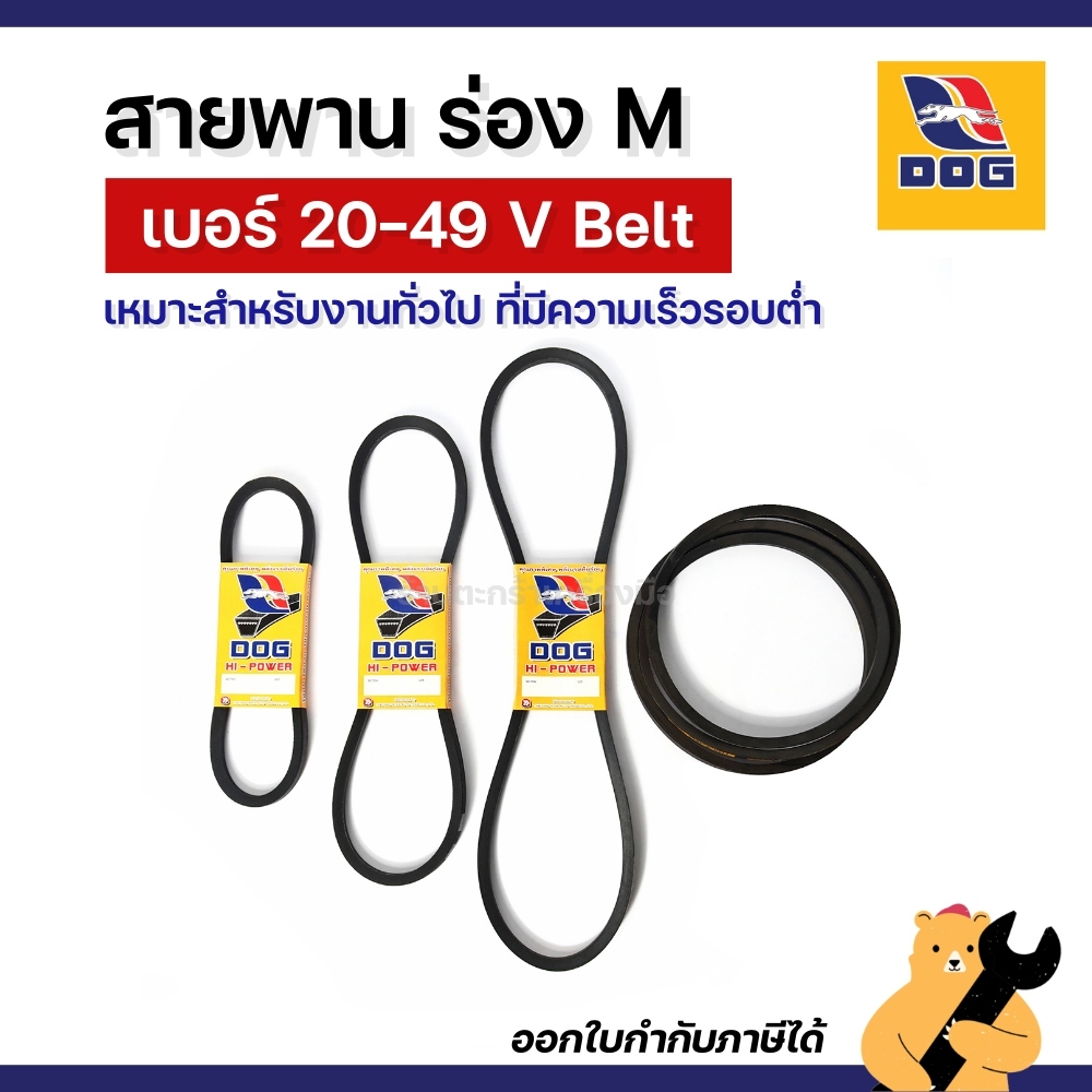 [มาใหม่‼️] M20-49 สายพานร่อง M ตรา DOG สายพานตราหมา V Belt สายพานร่องเรียบ สายพานเครื่องซักผ้า สายพานรถไถ (1 เส้น)