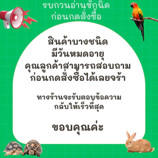 Classica Fancy Turtle Sticks อาหารเต่าชนิดแท่งลอยน้ำ สำหรับเต่าทุกสายพันธุ์[มี4ขนาด]