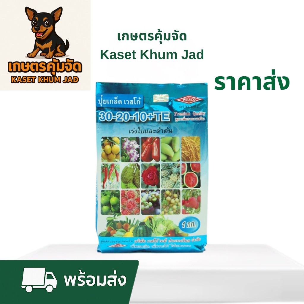 เวสโก้ 30-20-10+TE 1 กก.– เร่งใบ เร่งต้น แข็งแรงทันใจ!