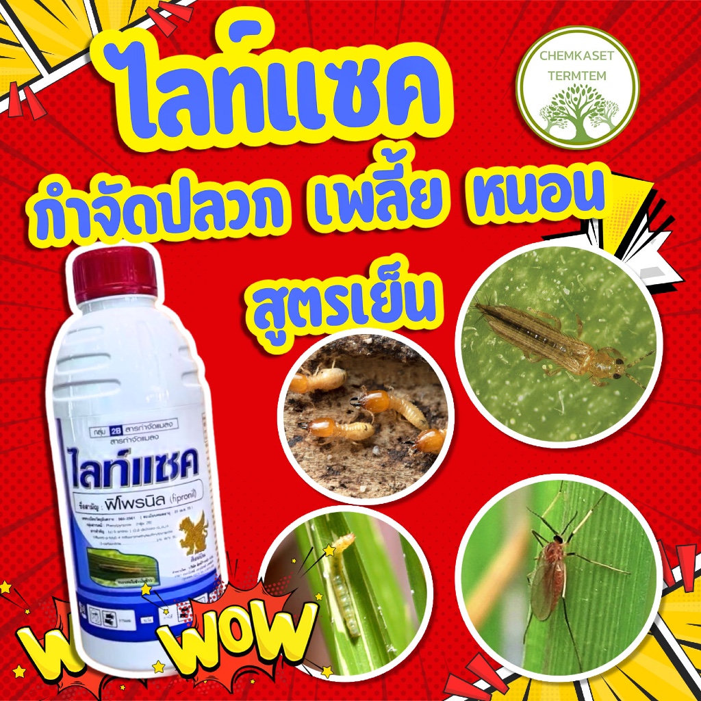 ไลท์แซค 1ลิตร🔥ฟิโพรนิล 5%SC เพลี้ยไฟ เพลี้ยแป้ง เพลี้ยจักจั่น เพลี้ยกระโดด หนอนห่อใบข้าว หนอนม้วนใบ