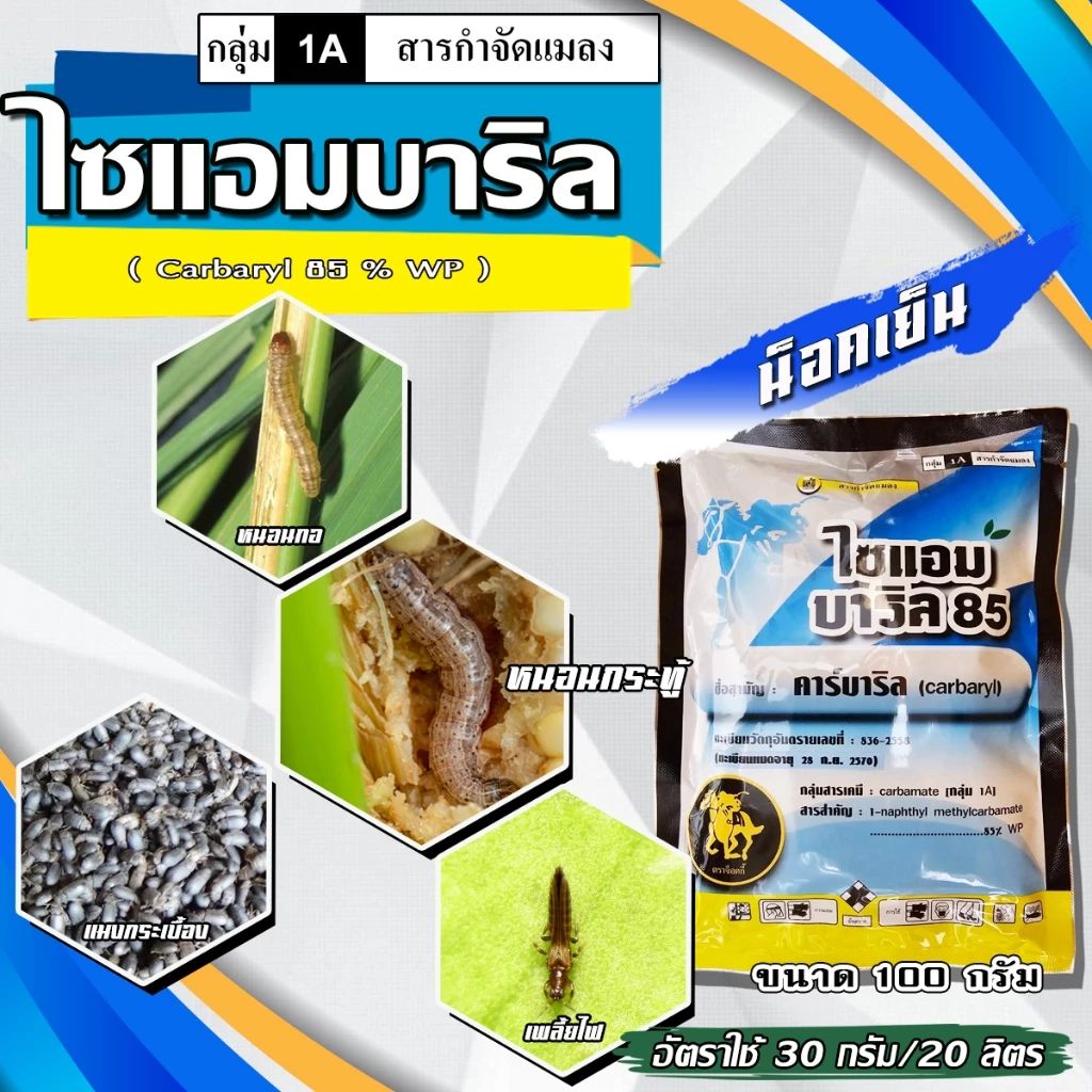 ไซแอมบาริล 85% (คาร์บาริล 85 %) 100 กรัมป้องกันกำจัด หนอนและแมลงหลายชนิน เช่น หนอนเจาะ ด้วงหมัดผัก เพลี้ยไฟ เพลี้ยไก่แจ้