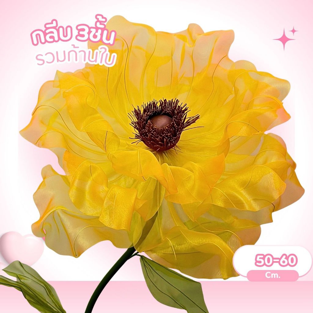 ดอกไม้ยักษ์ เหลือง yellow X Summer orange