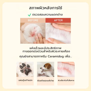[Junglemonster] Cream Ceramidog For Dog and Cat ครีมทาอุ้งเท้าสําหรับสัตว์เลี้ยง เพิ่มความชุ่มชื้น