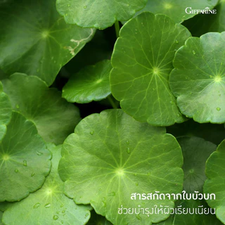 โลชั่นถนอมผิว เซนเทลลา ใบบัวบก กิฟฟารีน บำรุงผิวเนียนนุ่ม ลดเลือนริ้วรอย Giffarine Centella Body Lotion