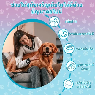 Popoo แพ็คสุดคุ้ม 2สูตร โปรไบโอติกสำหรับสุนัข และ Flea & Tick Prevention for Dogs วิตามินหมา ขนมสุนัข สำหรับสุนัขทุกวัย