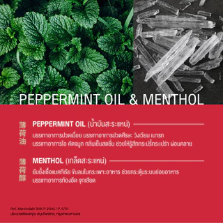 Siangpure Oil Formula I (Ball Tip) ยาหม่องน้ำเซียงเพียวอิ๊ว สูตร 1 ขนาด 5 ซีซี ชนิดลูกกลิ้ง จำนวน 12 ชิ้น