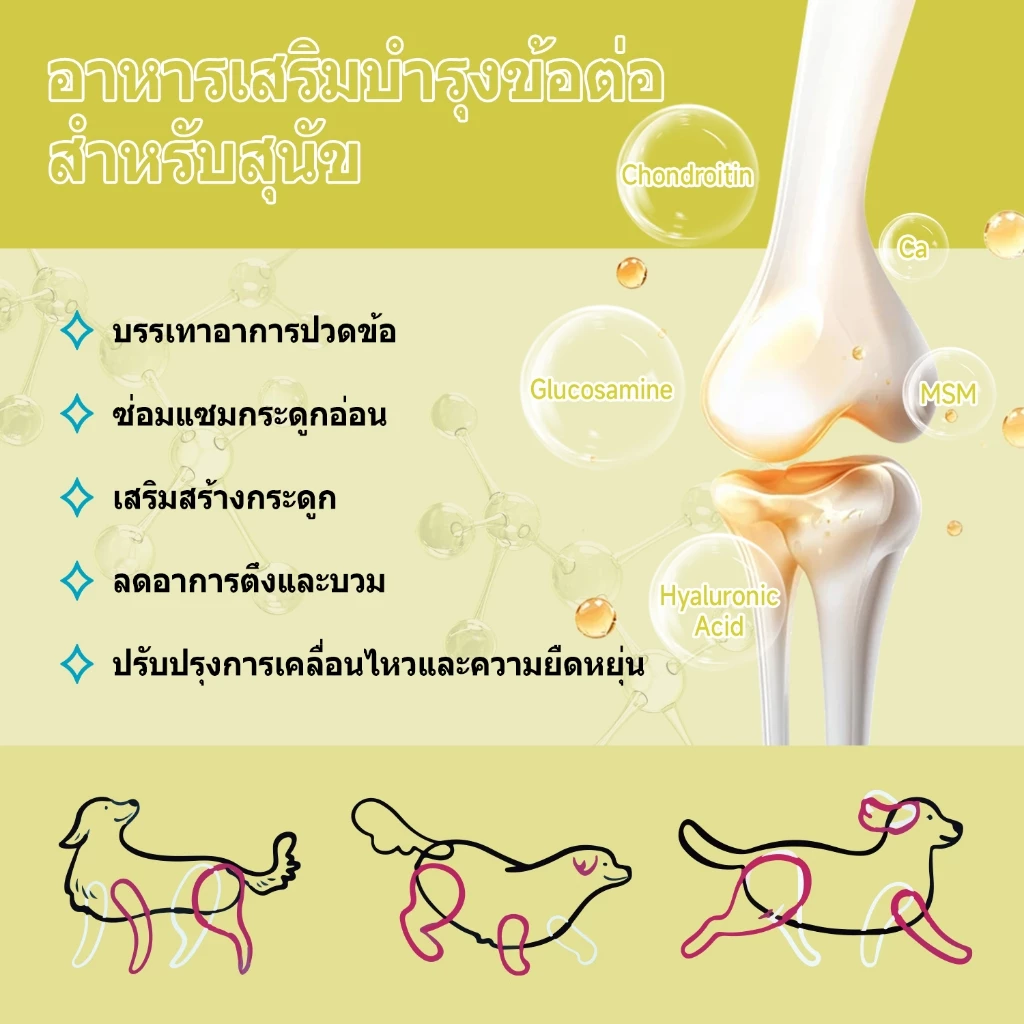 Popoo Multivitamins for Dogs วิตามินหมา อาหารสุนัข บำรุงสะโพกและข้อ ผิวหนังและขน การทำงานของลำไส้ ขนมสุนัข 120 แคปซูล thumbnail 5