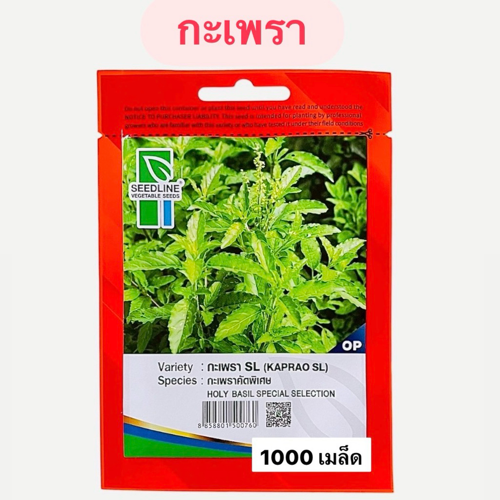 กระเพรา คัดพิเศษ (1000 เมล็ด) ซีดไลน์