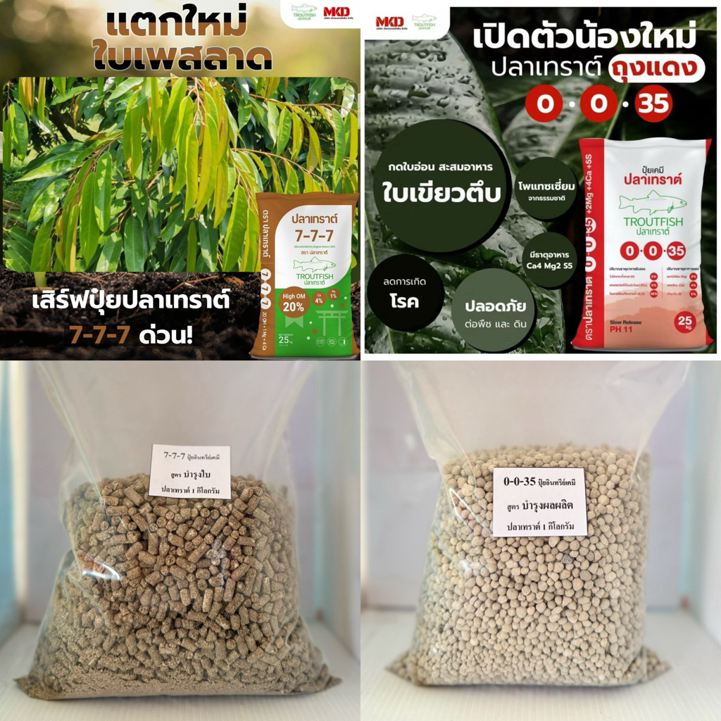 ปุ๋ยปลาเทราต์ อินทรีย์เคมี สูตร7-7-7บำรุงใบแตกใบ/ 0-0-35บำรุงผล ขยายขนาดผล เพิ่มผลผลิต/5-5-5ธาตุอาหารสมดุล