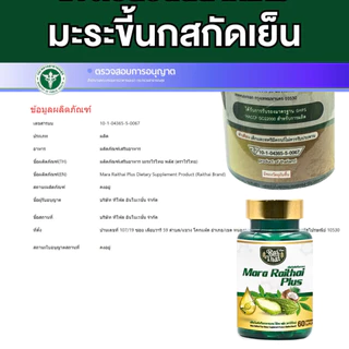 Raithai ไร่ไทย แพ็ค2กระปุก น้ำมันมะระ มะระขี้นก มะระ ไร่ไทยมะระ น่้ำมันมะระไร่ไทย 60 แคปซูล Zencore Mix7 เซนคอร์ มิกซ์ 7