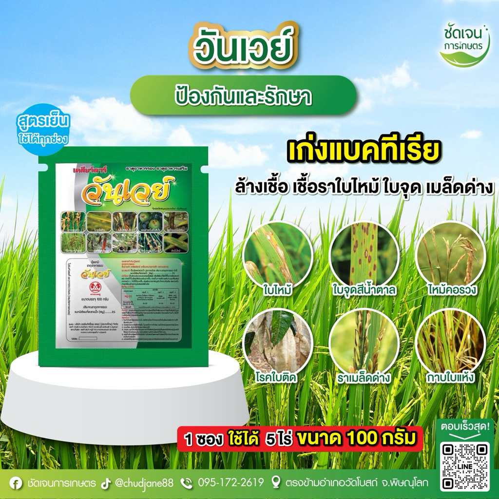 วันเวย์ 100g. ป้องกันกำจัดโรคพืชที่เกิดจากเชื้อรา ไวรัส และเเบคทีเรีย สูตรพิเศษยาเย็น 1 ซอง 5 ไร่