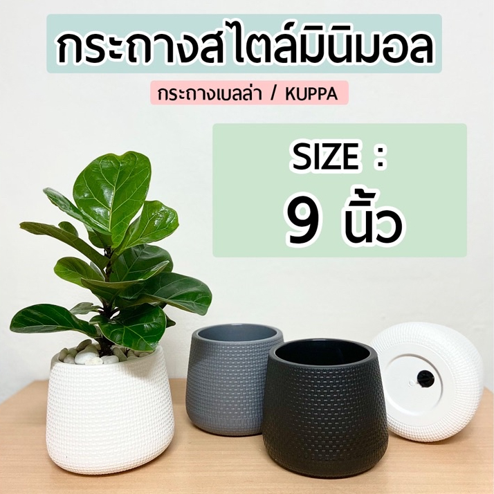 กระถางต้นไม้มินิมอล 9 นิ้ว🌿 มีจานรองในตัวกระถางทรงโมเดิร์นหยดน้ำ Minimal เบลล่า Kuppa