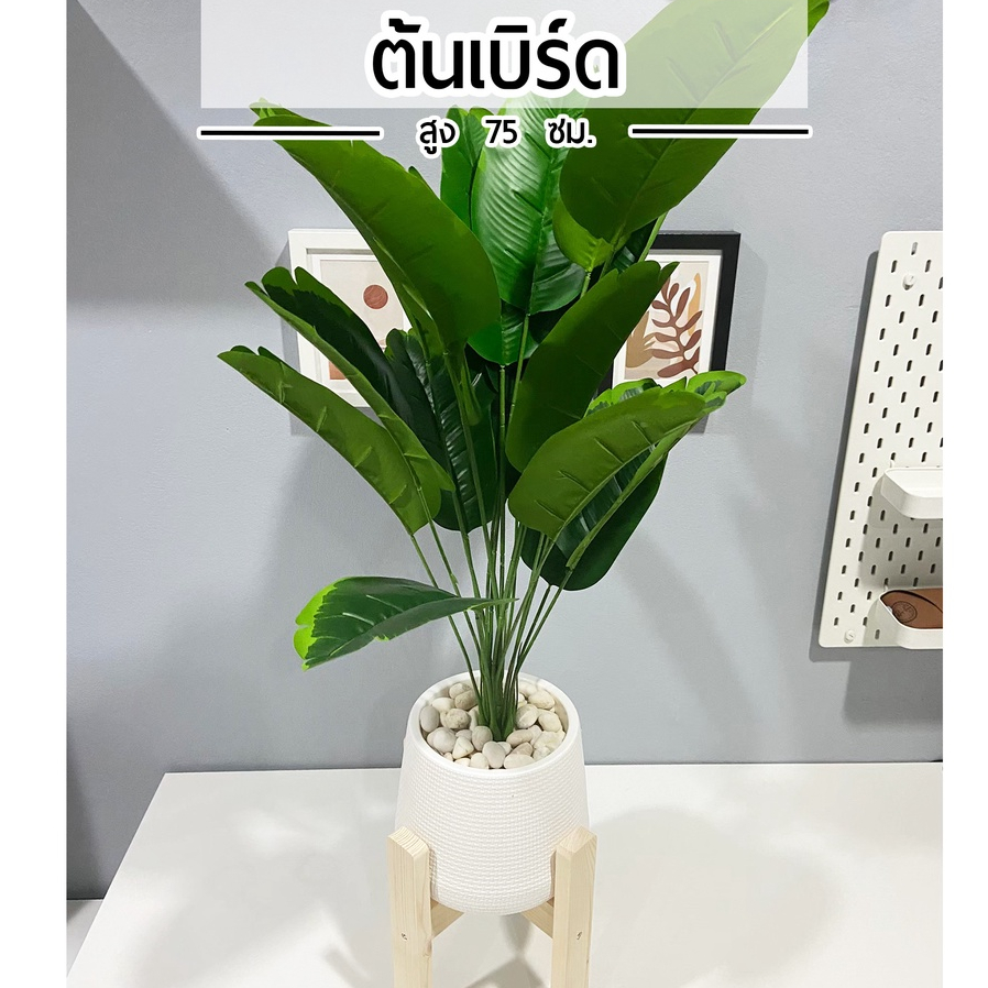 ต้นไม้ปลอม ต้นเบิร์ด ความสูง 75-90 cm พร้อมกระถางแหละหินสีขาวครบเซ็ต (75cm)🍀