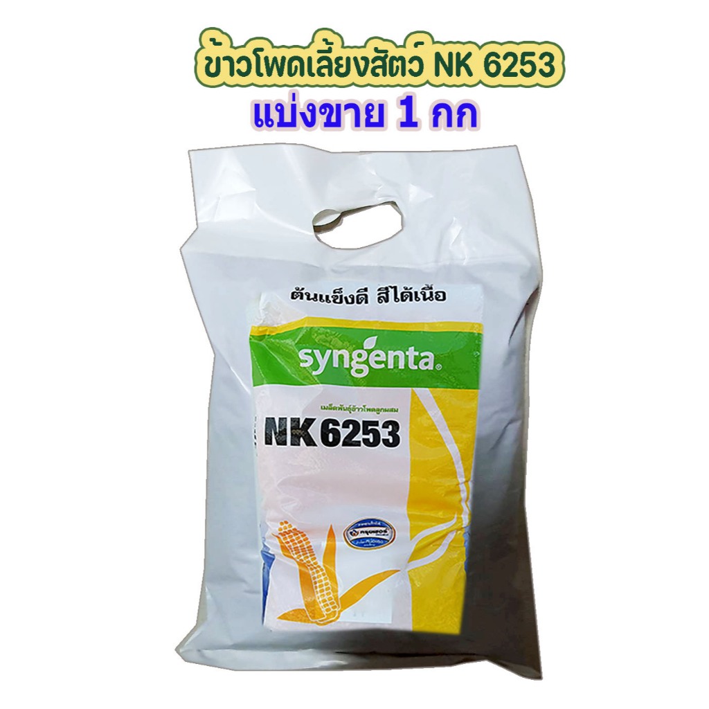 เมล็ดพันธุ์ข้าวโพดลูกผสม syngenta NK6253 (3.5หุน) แบบแบ่งขายตามน้ำหนัก