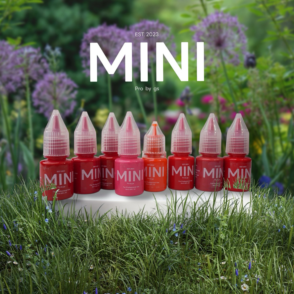 mini pro by gs etc23