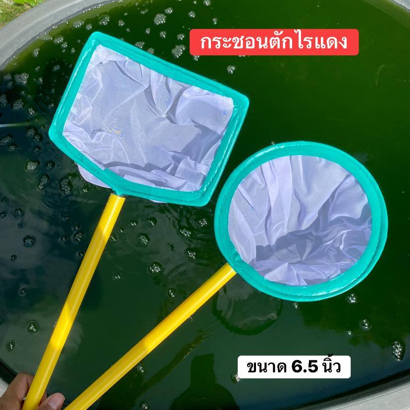 กระชอนตักไรแดง เนื้อผ้าละเอียดกว่ากระชอนตักปลาทั่วไป