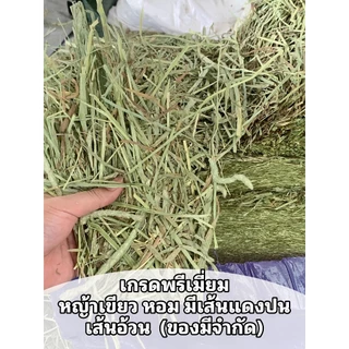 ถุกม๊ากกกกก หญ้าสวยมากค่ะ แนะนำลัคชู‼️ ทิมโมธี เกรดลัคชูรี่ร่อนฝุ่น1กก