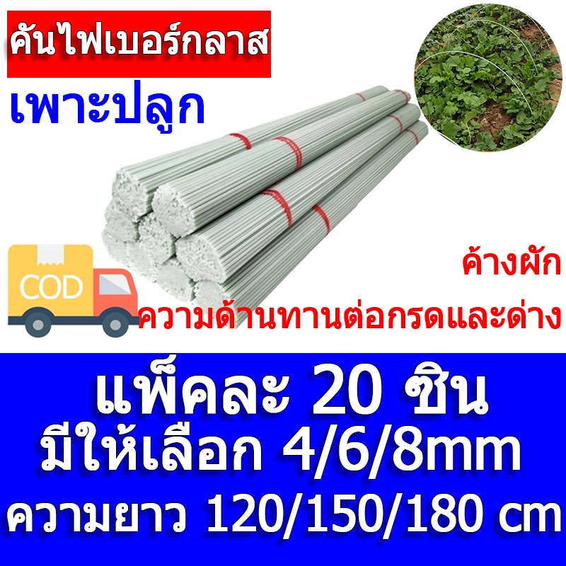 GLASS FIBER TUBE (แท่งกลมตัน) 4/6/8mm ไม้ค้ำต้นไม้ หลักไม้เลื้อย เสาต้นไม้ ไม้ค้ำยันต้นไม้ ค้างต้นไม้ ซุ้มต้นไม้ ค้างผั