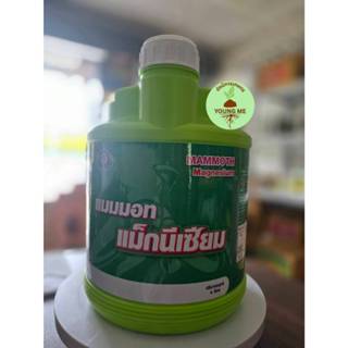 แมมมอท แม็กนีเซียม เทพวัฒนา ธาตุอาหารพืชที่เป็นองค์ประกอบของ…