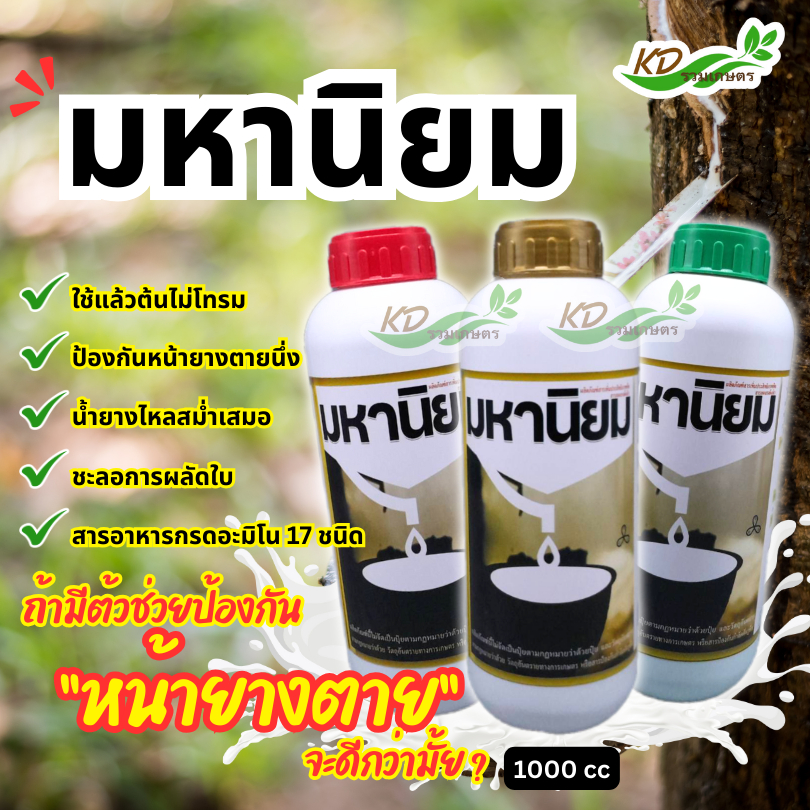 ยาทาหน้ายาง 💥มหานิยม💥 ฝาสีทอง ฝาสีแดง ฝาสีเขียว ขนาด 1 ลิตร และ 500 มล. ป้องกันหน้ายางตายนึ่ง น้ำยางไหลสม่ำเสมอ
