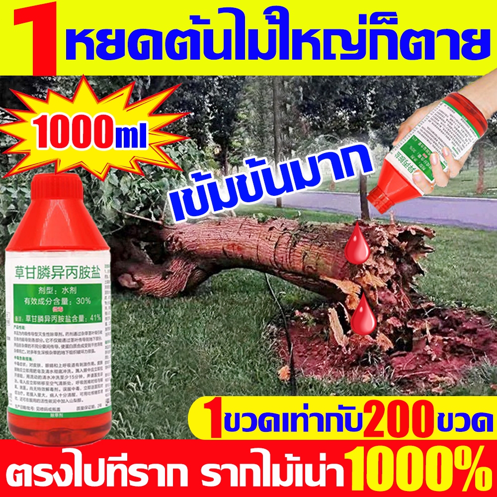ยาฆ่าต้นไม้ใหญ เข้มข้นสุดๆ1000ml ยาฆ่าตอต้นไม้ ตรงไปที่ราก ยากำจัดต้นไม้ รากเน่าจริง1000% ยาฆ่าตอไม้ใหญ่ บอกลาการตัดต้นไ