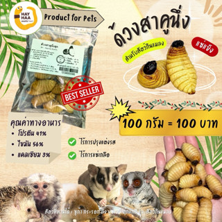 ด้วงสาคูนึ่งสุก Sagu worms สำหรับสัตว์