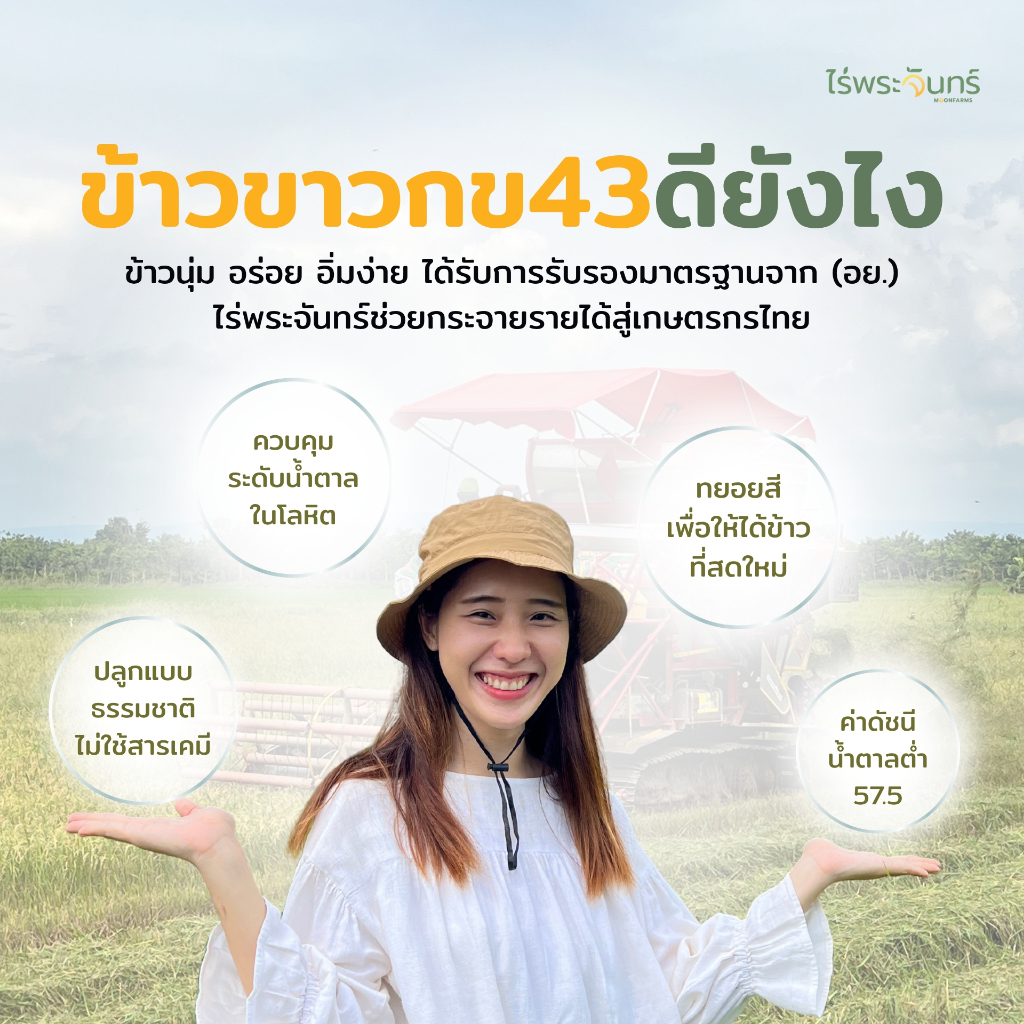 *ค่าส่งถูกที่สุด* ข้าวขาวกข43 คัดพิเศษ ปลอดสาร ไม่ใช้สารกันมอด แบรนด์ไร่พระจันทร์ ข้าว ข้าวสาร กข43 ข้าวกข43 RD43 rice - รูปที่ 3