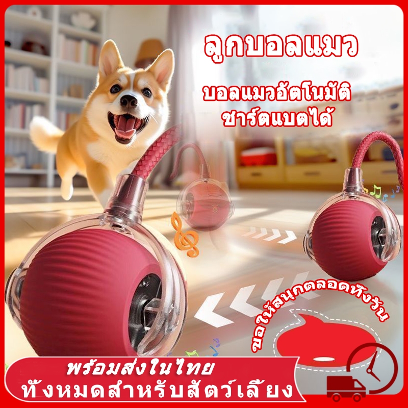 😻 ลูกบอลแมว ของเล่นแมว ลูกบอลแมวอัติโนมัติ สมาร์ทไฟฟ้า หมุนได้ ของเล่นแมวโต้ตอบ 360 องศา เรืองแสง ลูกบอลสัตว์เลี้ยง