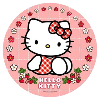ตัวรีดติดเสื้อ Hello kitty set.2 ขนาด 10 CM🍒 แผ่นฟิมล์รีดร้อน อาร์มติดเสื้อ DIY คิตตี้ 🍒