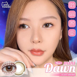 🔥คอนแทคเลนส์ ✨ขนาดมินิ✨ Mini Dawn (kittykawaii) 🎀สี : Brown / Gray / Light Brown