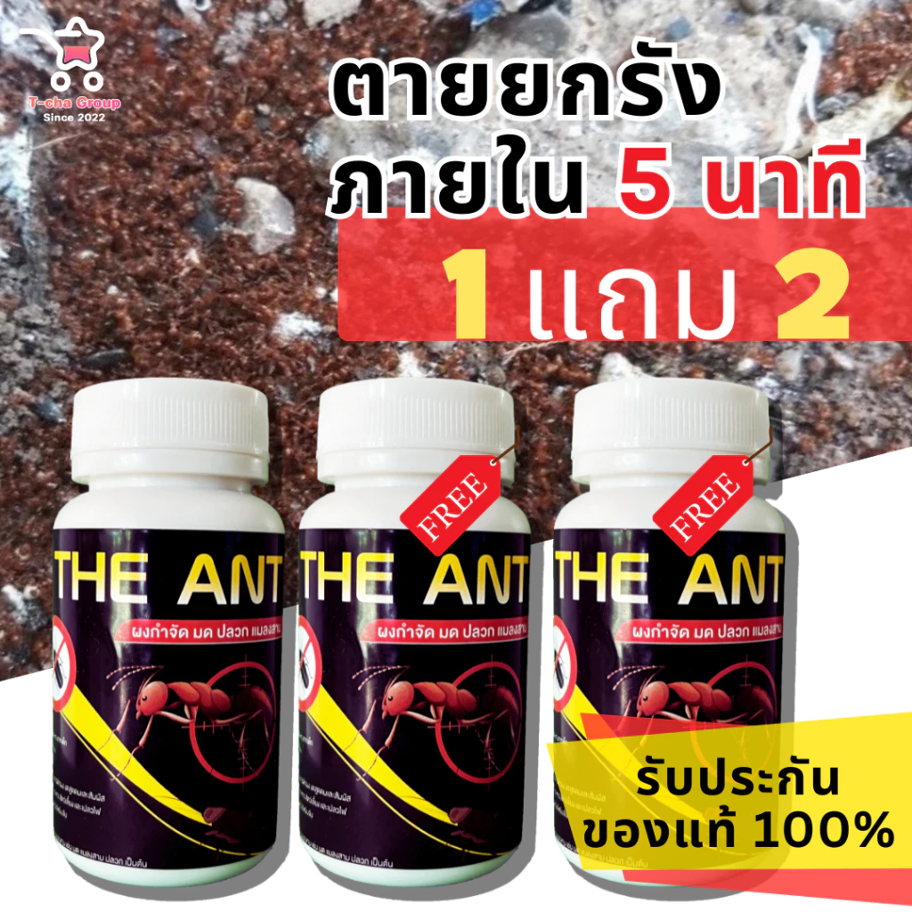 (โปร 1 แถม 2) ได้ 3 กระปุก The Ant ผงกำจัด มด ปลวก แมลงสาบ สูตรตายยกรัง ภายใน 5 นาที