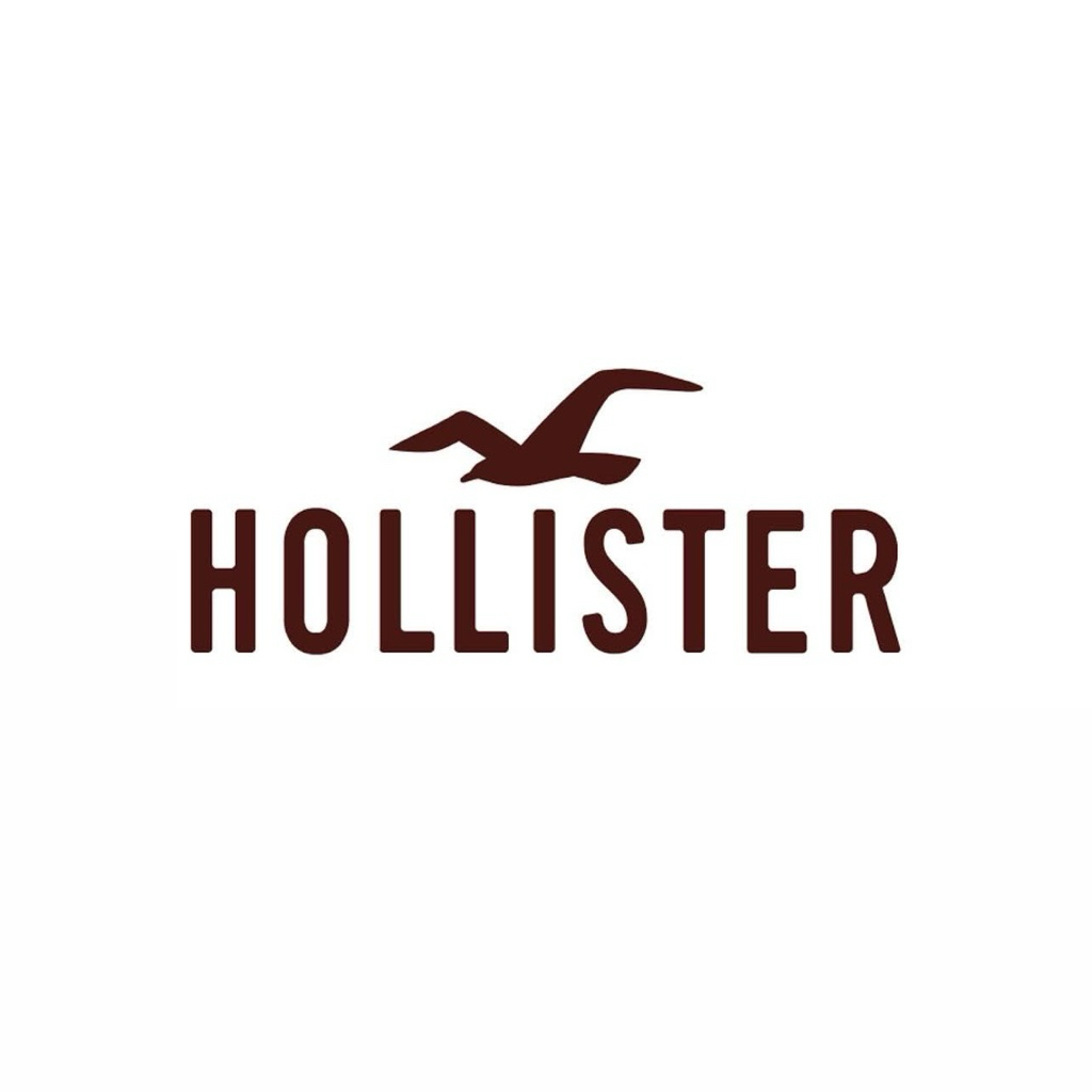 HOLLISTER ฮู้ดงานหาแขนยาว