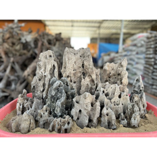 หินฟันม้าคละไซส์เป็นหินธรรมชาติ 3 กิโล