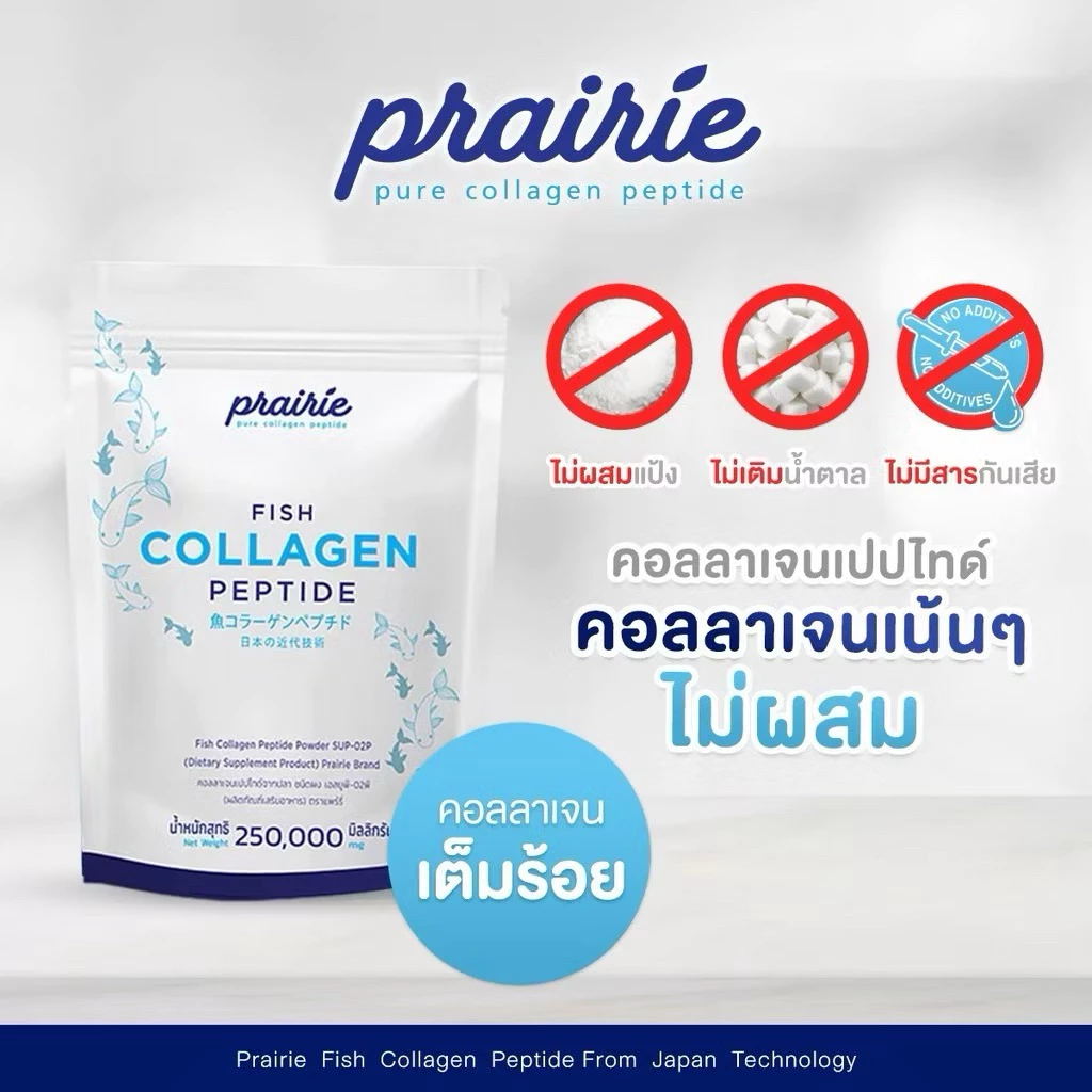แพร์รี่คอลลาเจนเปปไทด์ ผลิตภัณฑ์เสริมอาหารเพื่อสุขภาพและ ผิวพรรณ thumbnail 5
