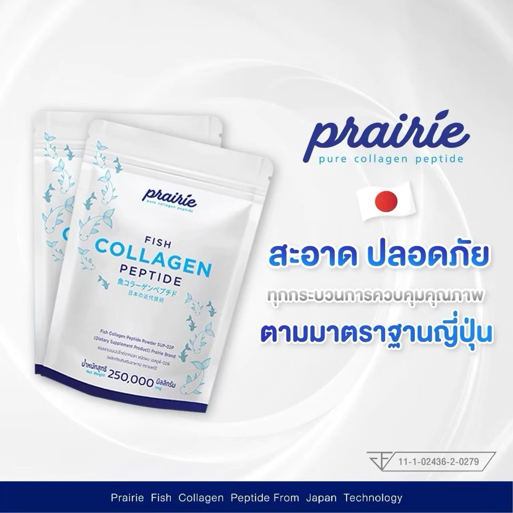 แพร์รี่คอลลาเจนเปปไทด์ ผลิตภัณฑ์เสริมอาหารเพื่อสุขภาพและ ผิวพรรณ thumbnail 6