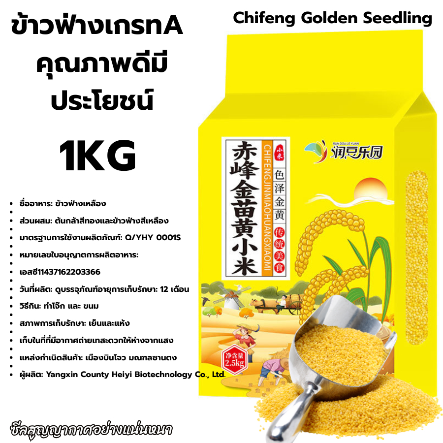 ข้าวฟ่าง ขนาด 1000 กรัม 1กิโล ธัญพืช Millet Grass Seed คุณค่าทางโภชนาการสูง ประโยชน์เยอะ