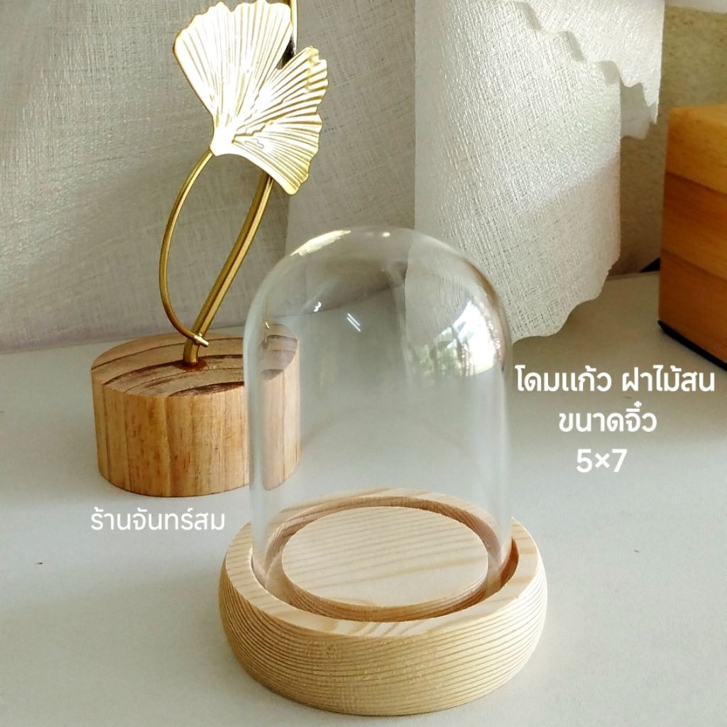 ครอบพระ เเก้วครอบพระ โดมเเก้วฐานไม้ ขวดโหลเเก้ว ของตกเเต่ง ใส่โมเดล หุ่นยนต์