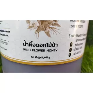 น้ำผึ้งดอกไม้ป่า บรรจุแกลลอน 5 กิโลกรัม