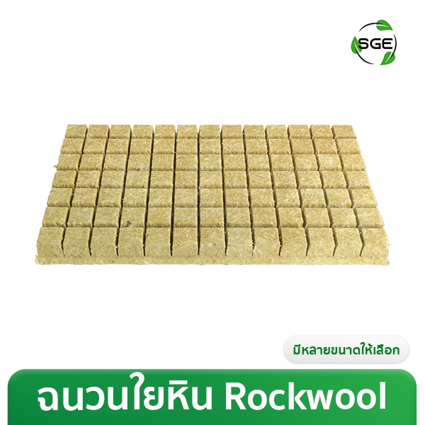Spring Green Evolution ร็อควูลก้อน Rockwool ใยหินปลูกต้นไม้ ส่งไว! ซื้อเป็นแพ็คคุ้มกว่า ของแท้จาก SGE