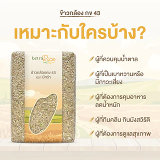 [ขายดี] ข้าวกล้องกข43 ( 5 กก.) น้ำตาลต่ำ ปลอดสาร ข้าวเพื่อสุขภาพ เกรดพรีเมี่ยม แบรนด์บีทร้า