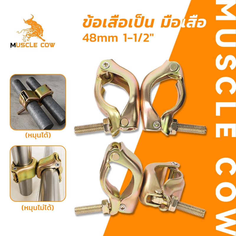 MUSCLE COW ข้อเสือจับนั่งร้าน 48mm (1.5") แบบหมุนได้/ไม่หมุน และ แบบหมุนไม่ได้ มือเสือสีทองเหลือง แข็งแรง ทนทาน